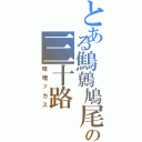 とある鷦鷯鳩尾の三十路（味噌ッカス）