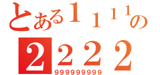 とある１１１１の２２２２２（９９９９９９９９９）