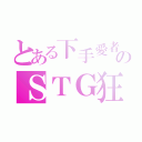 とある下手愛者のＳＴＧ狂（）