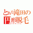 とある滝田の円形脱毛（ハゲテックス）