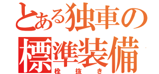 とある独車の標準装備（栓抜き）