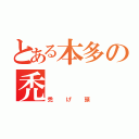 とある本多の禿（禿げ頭）