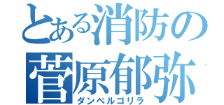 とある消防の菅原郁弥（ダンベルゴリラ）