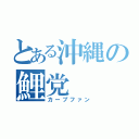 とある沖縄の鯉党（カープファン）