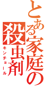 とある家庭の殺虫剤（キンチョール）