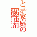 とある家庭の殺虫剤（キンチョール）