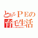 とあるＰＥの育毛生活（いっぽんも生えない）