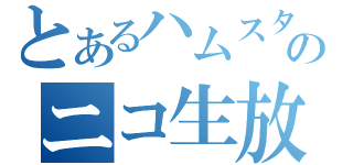 とあるハムスターのニコ生放送（）