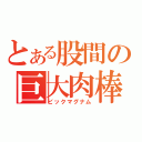 とある股間の巨大肉棒（ビックマグナム）