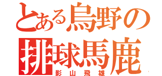 とある烏野の排球馬鹿（影山飛雄）