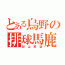 とある烏野の排球馬鹿（影山飛雄）