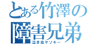 とある竹澤の障害兄弟（泣き虫ヤソキー）