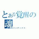 とある覚醒の魂（インデックス）