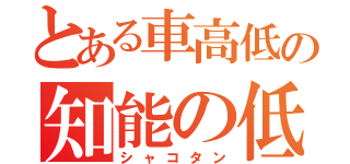 とある車高低の知能の低さ（シャコタン）