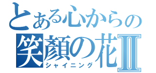 とある心からの笑顏の花Ⅱ（シャイニング）