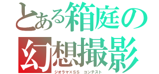 とある箱庭の幻想撮影（ジオラマ×ＳＳ コンテスト）