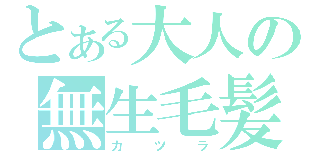 とある大人の無生毛髪（カツラ）