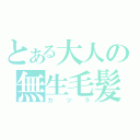 とある大人の無生毛髪（カツラ）