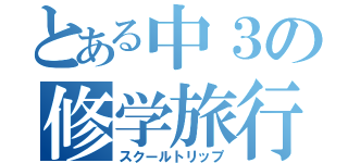 とある中３の修学旅行（スクールトリップ）