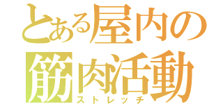 とある屋内の筋肉活動（ストレッチ）