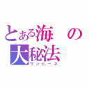 とある海の大秘法（ワンピース）