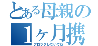 とある母親の１ヶ月携帯没収（ブロックしないでね）