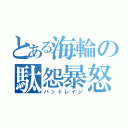 とある海輪の駄怨暴怒（バッドレイジ）