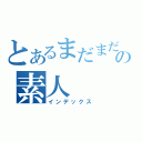 とあるまだまだの素人（インデックス）