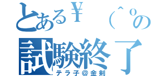 とある\\（＾ｏ＾）／の試験終了（テラ子＠金剣）