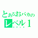 とあるおバカのレベル１（スザンヌ）