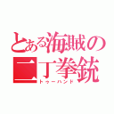 とある海賊の二丁拳銃（トゥーハンド）