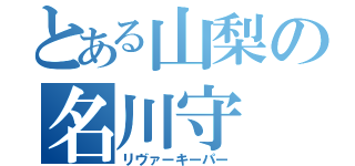 とある山梨の名川守（リヴァーキーパー）