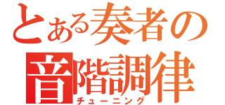 とある奏者の音階調律（チューニング）