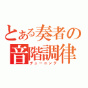 とある奏者の音階調律（チューニング）