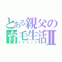 とある親父の育毛生活Ⅱ（アデランス）