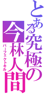 とある究極の今林人間（パーフェクトキル）