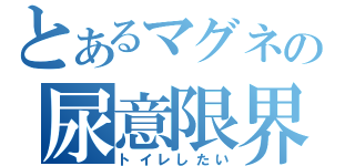 とあるマグネの尿意限界（トイレしたい）