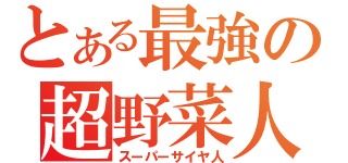 とある最強の超野菜人（スーパーサイヤ人）