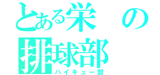 とある栄の排球部（ハイキュー部）