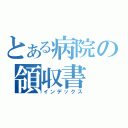 とある病院の領収書（インデックス）