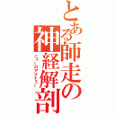 とある師走の神経解剖（ニューロアナトミー）