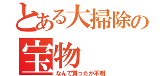 とある大掃除の宝物（なんで買ったか不明）