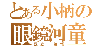 とある小柄の眼鏡河童（足立 稜悟）