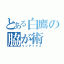 とある白鷹の脇が術（インデックス）