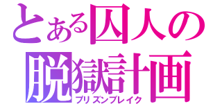 とある囚人の脱獄計画（プリズンブレイク）