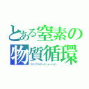 とある窒素の物質循環（マテリアルサーキュレーション）