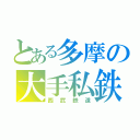 とある多摩の大手私鉄（西武鉄道）