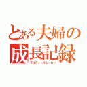 とある夫婦の成長記録（プロフィールムービー）