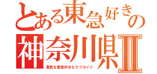 とある東急好きの神奈川県Ⅱ（東武＆東急好きなラブガイジ）