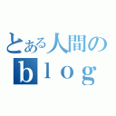 とある人間のｂｌｏｇ（）